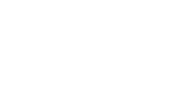 White Nine It LLC